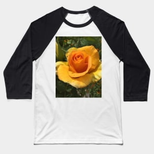 Yellow rose Baseball T-Shirt